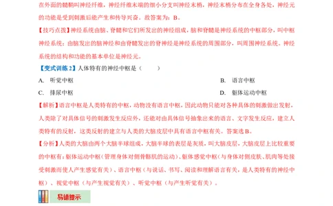 名师导航专题14人体生命活动的调节--2026年中考生物一轮复习学案（解析版）_6生物中考复习_2026年中考复习（更新中）_2026年中考生物一轮复习学案（原版卷+解析版）