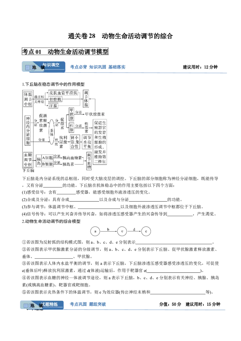 考点通关卷28动物生命活动调节的综合（原卷版）_2025年新高考资料_一轮复习_2025年高考生物一轮复习考点通关卷（新高考通用）
