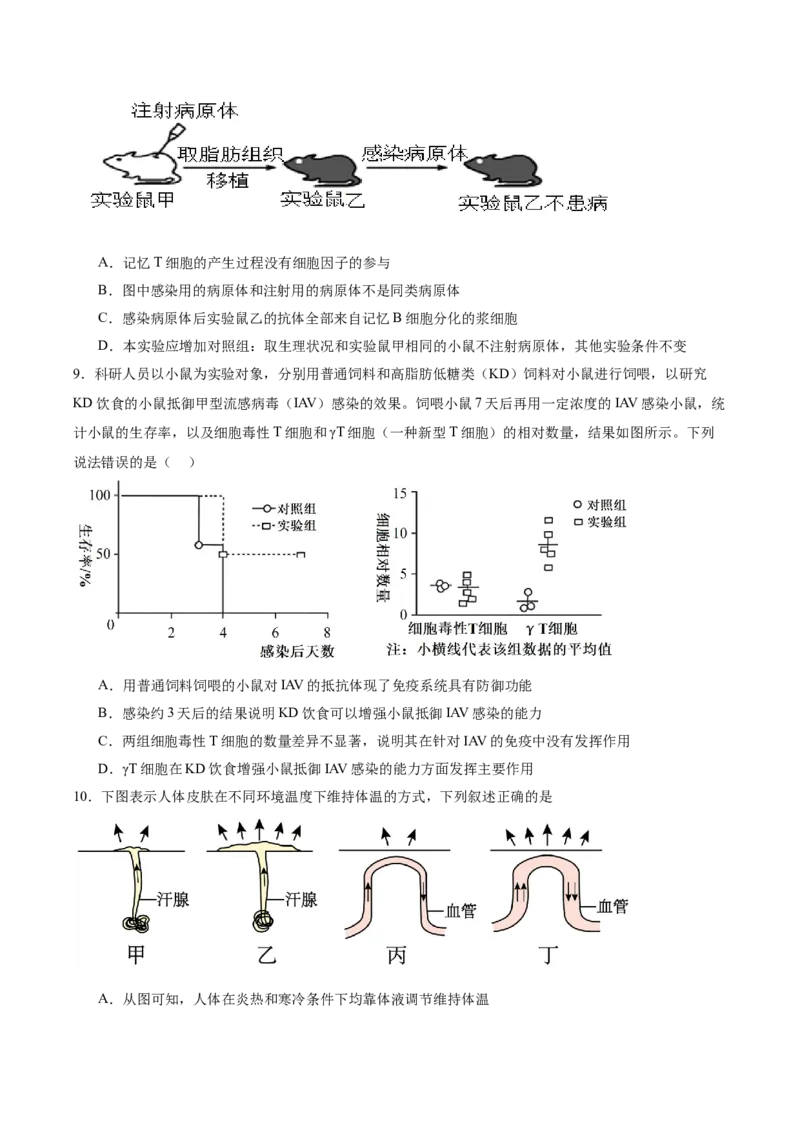考点通关卷28动物生命活动调节的综合（原卷版）_2025年新高考资料_一轮复习_2025年高考生物一轮复习考点通关卷（新高考通用）