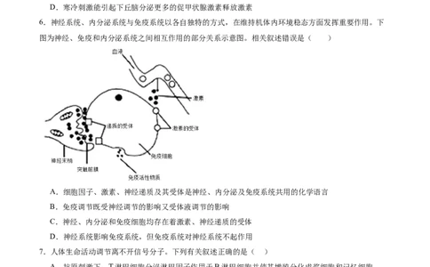 考点通关卷28动物生命活动调节的综合（原卷版）_2025年新高考资料_一轮复习_2025年高考生物一轮复习考点通关卷（新高考通用）