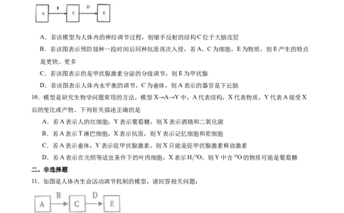 考点通关卷28动物生命活动调节的综合（原卷版）_2025年新高考资料_一轮复习_2025年高考生物一轮复习考点通关卷（新高考通用）