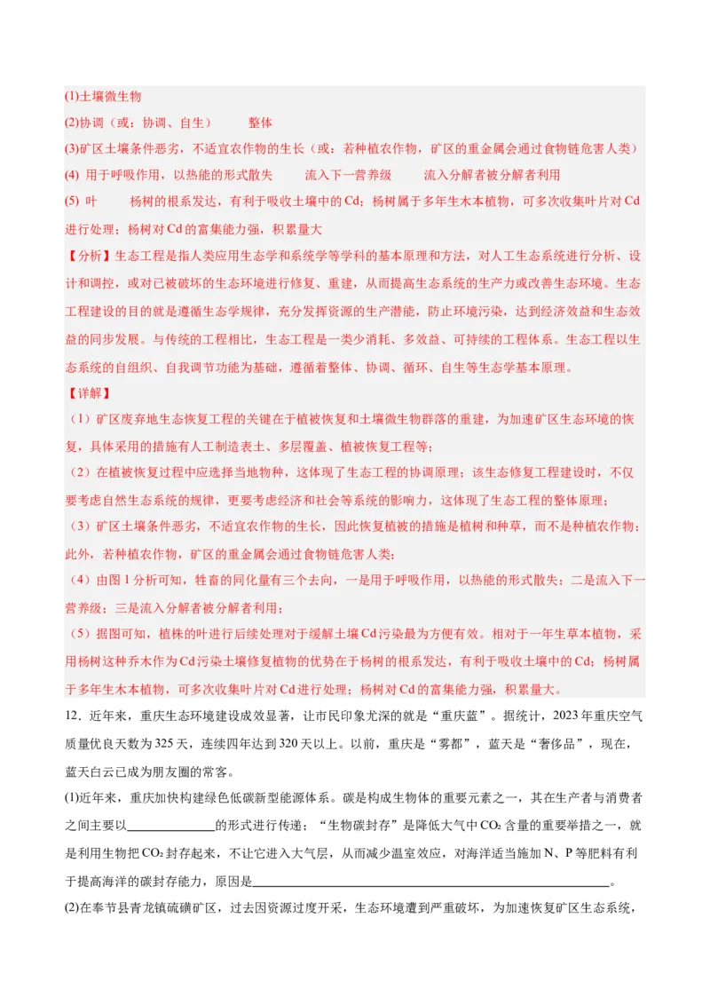 考点通关卷33人与环境、生态工程（解析版）_2025年新高考资料_一轮复习_2025年高考生物一轮复习考点通关卷（新高考通用）