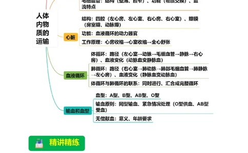 名师导航专题12人体内物质的运输--2026年中考生物一轮复习学案（解析版）_6生物中考复习_2026年中考复习（更新中）_2026年中考生物一轮复习学案（原版卷+解析版）