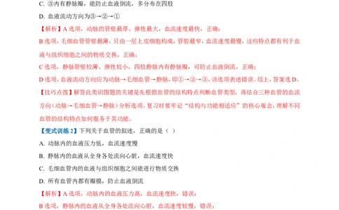 名师导航专题12人体内物质的运输--2026年中考生物一轮复习学案（解析版）_6生物中考复习_2026年中考复习（更新中）_2026年中考生物一轮复习学案（原版卷+解析版）