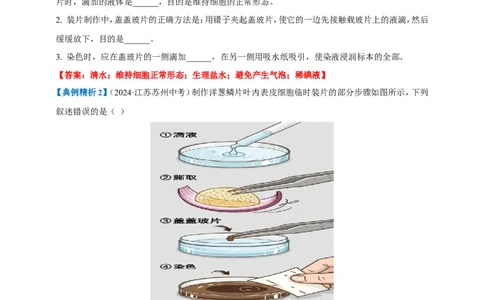名师导航专题02细胞是生命活动的基本单位--2026年中考生物一轮复习学案（解析版）_6生物中考复习_2026年中考复习（更新中）_2026年中考生物一轮复习学案（原版卷+解析版）