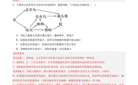 考点通关卷31生态系统的结构和稳定性（解析版）_2025年新高考资料_一轮复习_2025年高考生物一轮复习考点通关卷（新高考通用）