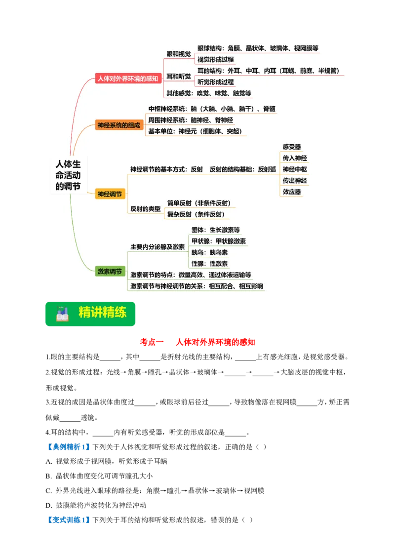 名师导航专题14人体生命活动的调节--2026年中考生物一轮复习学案（原卷版）_6生物中考复习_2026年中考复习（更新中）_2026年中考生物一轮复习学案（原版卷+解析版）