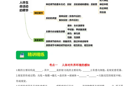 名师导航专题14人体生命活动的调节--2026年中考生物一轮复习学案（原卷版）_6生物中考复习_2026年中考复习（更新中）_2026年中考生物一轮复习学案（原版卷+解析版）