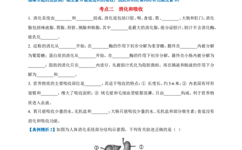 名师导航专题10人体的营养--2026年中考生物一轮复习学案（原卷版）_6生物中考复习_2026年中考复习（更新中）_2026年中考生物一轮复习学案（原版卷+解析版）