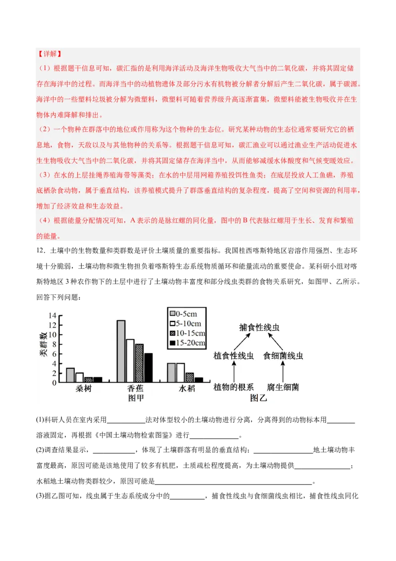 考点通关卷32生态系统的功能（解析版）_2025年新高考资料_一轮复习_2025年高考生物一轮复习考点通关卷（新高考通用）