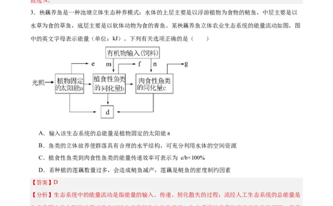 考点通关卷32生态系统的功能（解析版）_2025年新高考资料_一轮复习_2025年高考生物一轮复习考点通关卷（新高考通用）