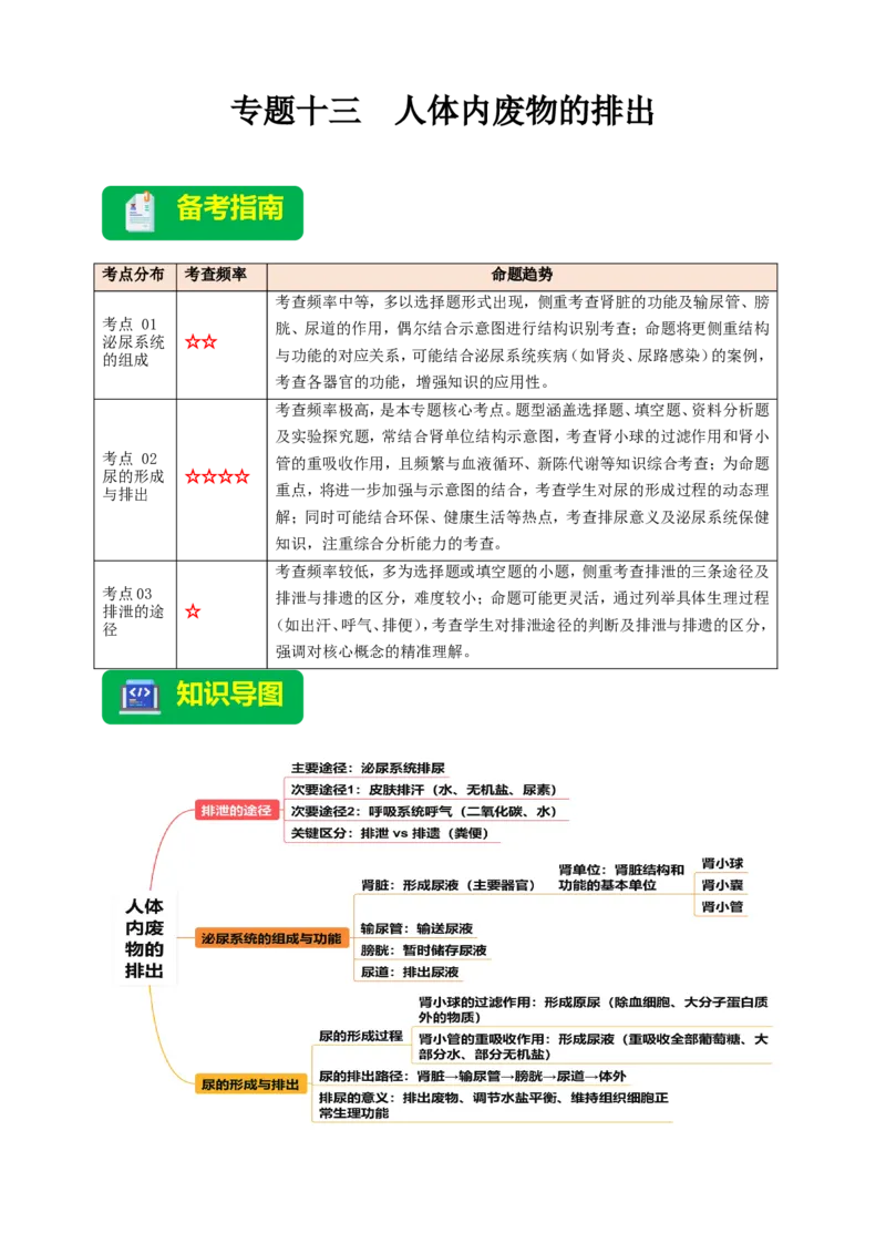 名师导航专题13人体内废物的排出--2026年中考生物一轮复习学案（原卷版）_6生物中考复习_2026年中考复习（更新中）_2026年中考生物一轮复习学案（原版卷+解析版）
