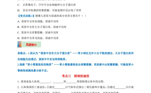 名师导航专题13人体内废物的排出--2026年中考生物一轮复习学案（原卷版）_6生物中考复习_2026年中考复习（更新中）_2026年中考生物一轮复习学案（原版卷+解析版）