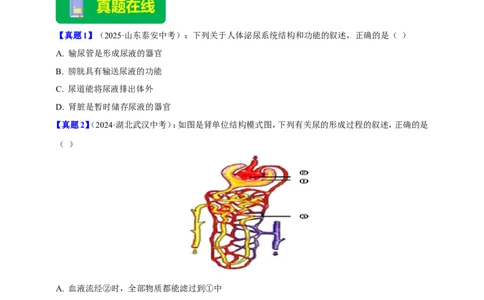 名师导航专题13人体内废物的排出--2026年中考生物一轮复习学案（原卷版）_6生物中考复习_2026年中考复习（更新中）_2026年中考生物一轮复习学案（原版卷+解析版）