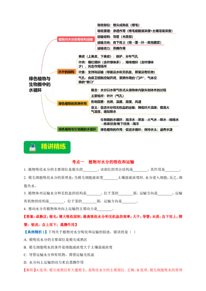 名师导航专题06绿色植物与生物圈中的水循环--2026年中考生物一轮复习学案（解析版）_6生物中考复习_2026年中考复习（更新中）_2026年中考生物一轮复习学案（原版卷+解析版）