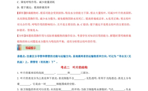 名师导航专题06绿色植物与生物圈中的水循环--2026年中考生物一轮复习学案（解析版）_6生物中考复习_2026年中考复习（更新中）_2026年中考生物一轮复习学案（原版卷+解析版）
