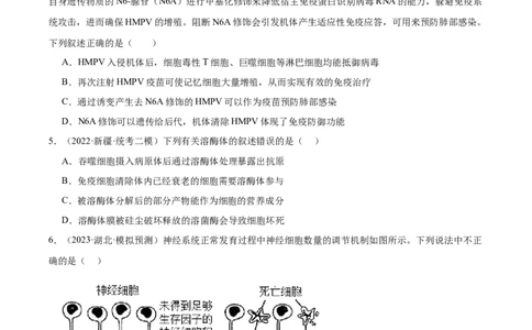 考点通关卷28免疫调节（原卷版）_新高考复习资料_2024年新高考复习资料_一轮复习资料_完2024年高考生物一轮复习考点通关卷（新高考）_考点通关卷28免疫调节