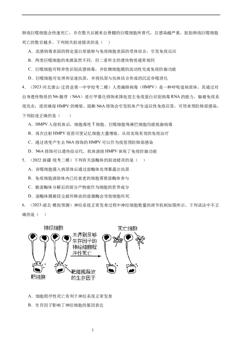 考点通关卷28免疫调节（原卷版）_新高考复习资料_2024年新高考复习资料_一轮复习资料_完2024年高考生物一轮复习考点通关卷（新高考）_考点通关卷28免疫调节