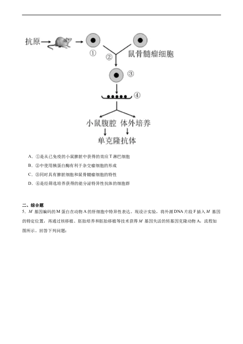 考点通关卷37细胞工程（原卷版）_新高考复习资料_2024年新高考复习资料_一轮复习资料_完2024年高考生物一轮复习考点通关卷（新高考）_考点通关卷37细胞工程