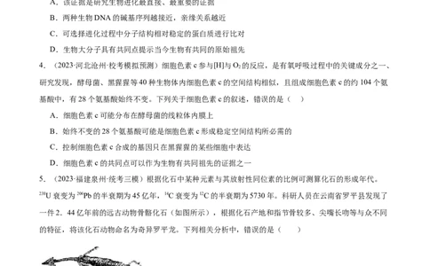 考点通关卷24生物的进化（原卷版）_新高考复习资料_2024年新高考复习资料_一轮复习资料_完2024年高考生物一轮复习考点通关卷（新高考）_考点通关卷24生物的进化