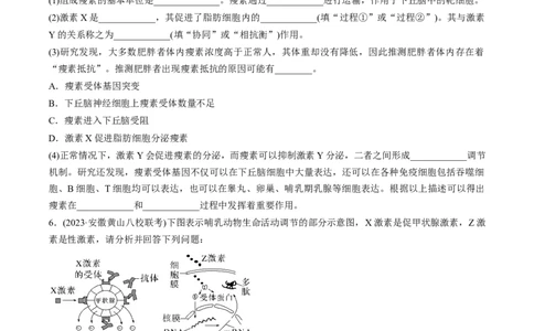 考点通关卷29动物生命活动调节的综合（原卷版）_新高考复习资料_2024年新高考复习资料_一轮复习资料_完2024年高考生物一轮复习考点通关卷（新高考）