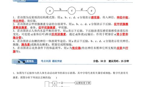 考点通关卷29动物生命活动调节的综合（原卷版）_新高考复习资料_2024年新高考复习资料_一轮复习资料_完2024年高考生物一轮复习考点通关卷（新高考）
