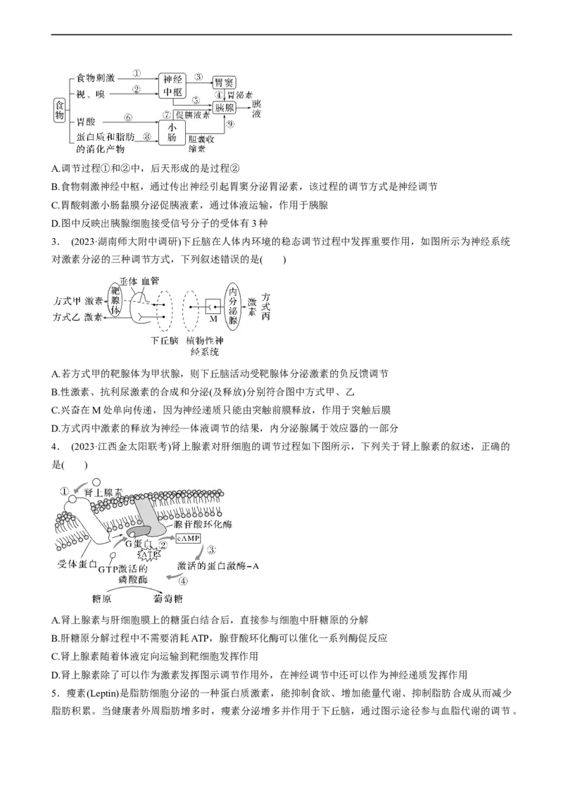 考点通关卷29动物生命活动调节的综合（原卷版）_新高考复习资料_2024年新高考复习资料_一轮复习资料_完2024年高考生物一轮复习考点通关卷（新高考）