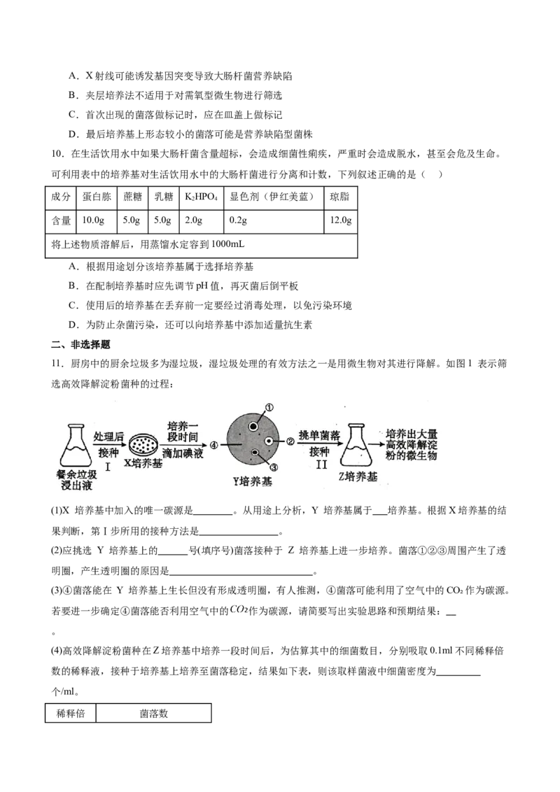 考点通关卷34发酵工程（原卷版）_2025年新高考资料_一轮复习_2025年高考生物一轮复习考点通关卷（新高考通用）