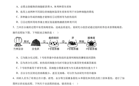考点通关卷36细胞工程和胚胎工程（原卷版）_2025年新高考资料_一轮复习_2025年高考生物一轮复习考点通关卷（新高考通用）