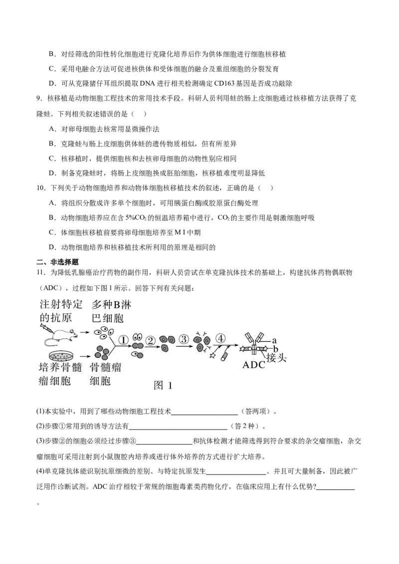 考点通关卷36细胞工程和胚胎工程（原卷版）_2025年新高考资料_一轮复习_2025年高考生物一轮复习考点通关卷（新高考通用）