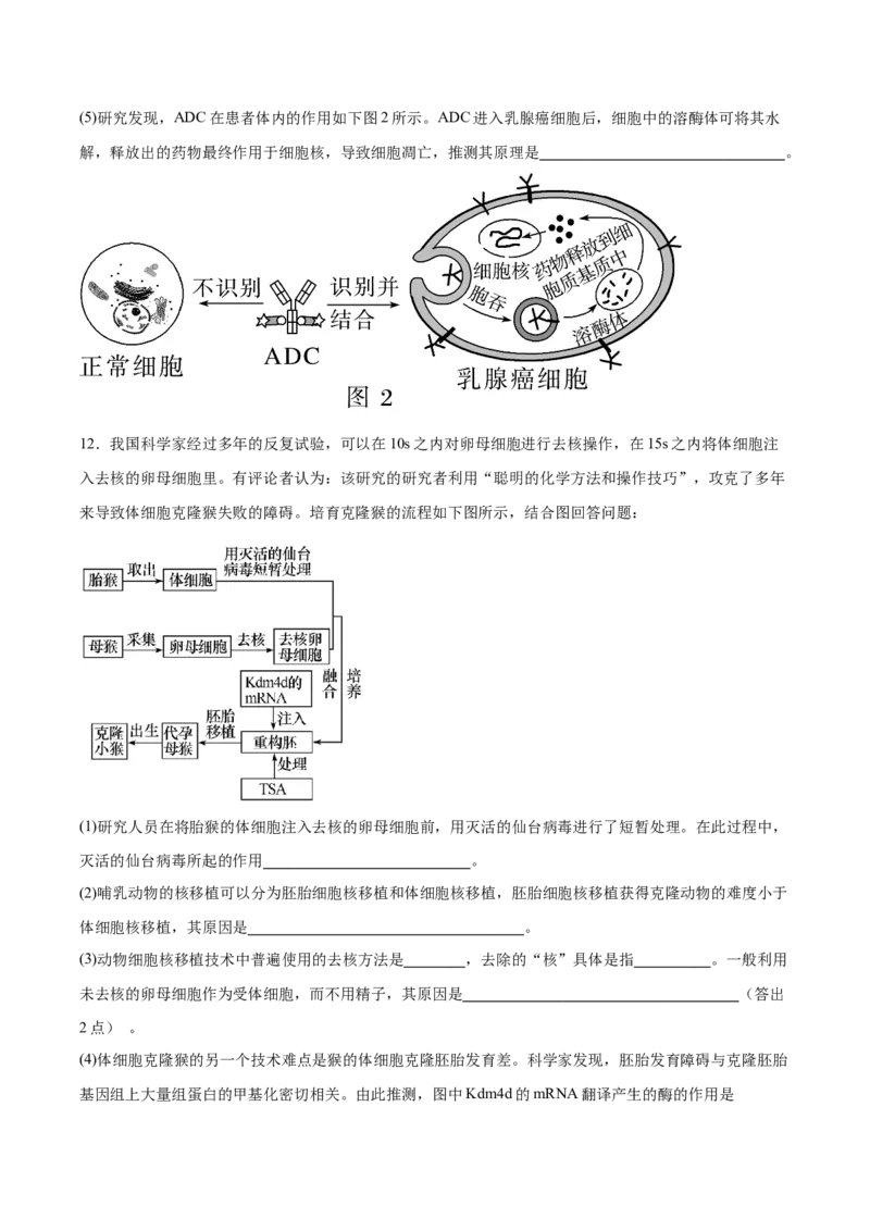 考点通关卷36细胞工程和胚胎工程（原卷版）_2025年新高考资料_一轮复习_2025年高考生物一轮复习考点通关卷（新高考通用）