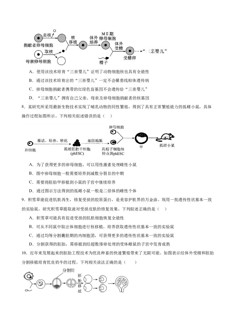 考点通关卷36细胞工程和胚胎工程（原卷版）_2025年新高考资料_一轮复习_2025年高考生物一轮复习考点通关卷（新高考通用）
