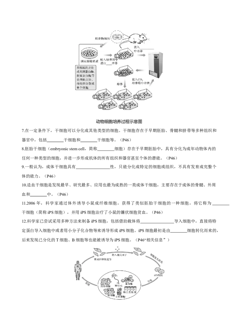 考点通关卷36细胞工程和胚胎工程（原卷版）_2025年新高考资料_一轮复习_2025年高考生物一轮复习考点通关卷（新高考通用）