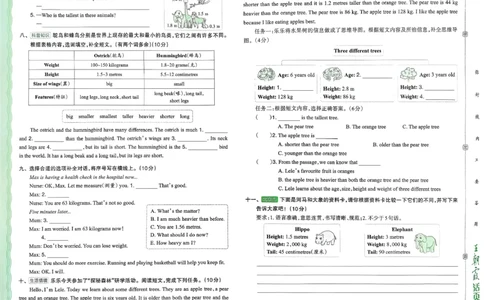六下英语人教_2026春季学期_王朝霞2026版《单元活页卷》（语数英）（1-6下）_英语26春人教pep_6下王朝霞单元活页卷英语人教版26春