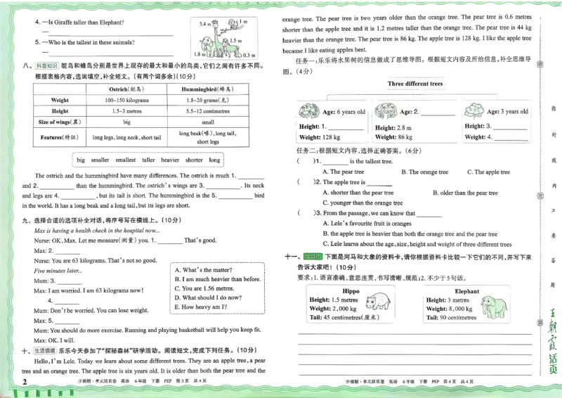 六下英语人教_2026春季学期_王朝霞2026版《单元活页卷》（语数英）（1-6下）_英语26春人教pep_6下王朝霞单元活页卷英语人教版26春
