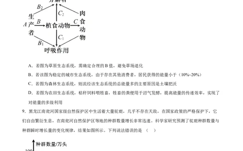 考点通关卷31生态系统的结构和稳定性（原卷版）_2025年新高考资料_一轮复习_2025年高考生物一轮复习考点通关卷（新高考通用）
