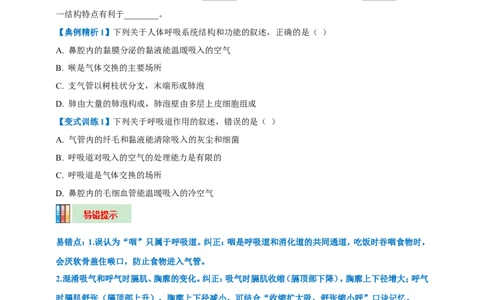 名师导航专题11人体的呼吸--2026年中考生物一轮复习学案（原卷版）_6生物中考复习_2026年中考复习（更新中）_2026年中考生物一轮复习学案（原版卷+解析版）
