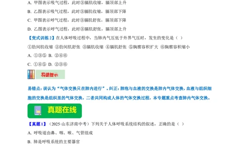 名师导航专题11人体的呼吸--2026年中考生物一轮复习学案（原卷版）_6生物中考复习_2026年中考复习（更新中）_2026年中考生物一轮复习学案（原版卷+解析版）