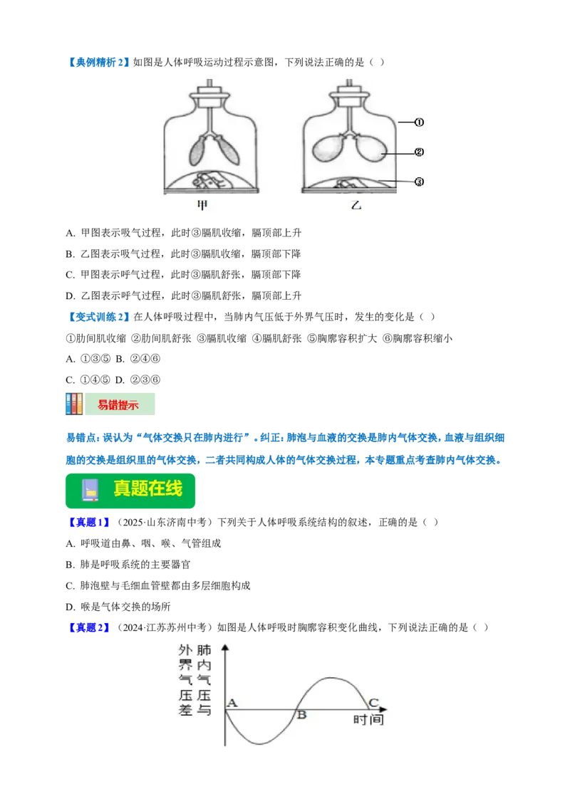名师导航专题11人体的呼吸--2026年中考生物一轮复习学案（原卷版）_6生物中考复习_2026年中考复习（更新中）_2026年中考生物一轮复习学案（原版卷+解析版）