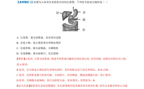 名师导航专题10人体的营养--2026年中考生物一轮复习学案（解析版）_6生物中考复习_2026年中考复习（更新中）_2026年中考生物一轮复习学案（原版卷+解析版）