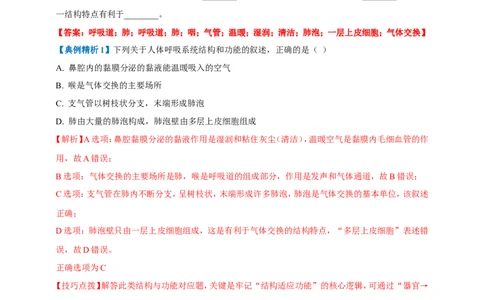 名师导航专题11人体的呼吸--2026年中考生物一轮复习学案（解析版）_6生物中考复习_2026年中考复习（更新中）_2026年中考生物一轮复习学案（原版卷+解析版）