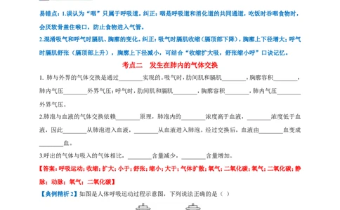 名师导航专题11人体的呼吸--2026年中考生物一轮复习学案（解析版）_6生物中考复习_2026年中考复习（更新中）_2026年中考生物一轮复习学案（原版卷+解析版）