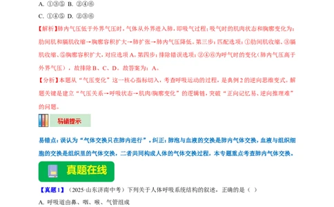 名师导航专题11人体的呼吸--2026年中考生物一轮复习学案（解析版）_6生物中考复习_2026年中考复习（更新中）_2026年中考生物一轮复习学案（原版卷+解析版）