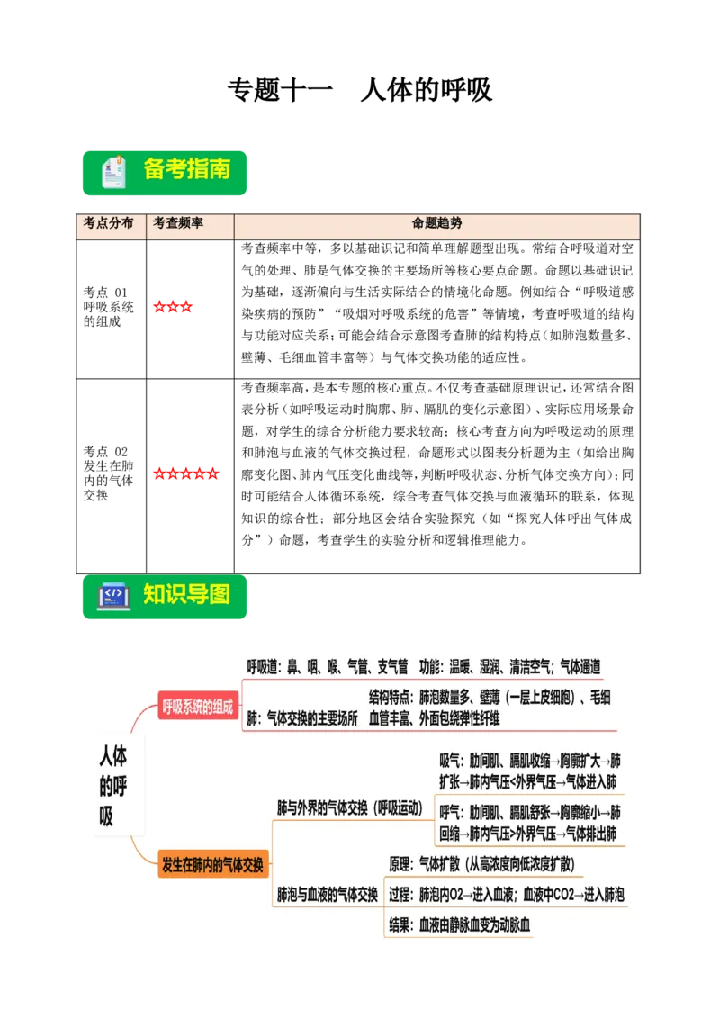 名师导航专题11人体的呼吸--2026年中考生物一轮复习学案（解析版）_6生物中考复习_2026年中考复习（更新中）_2026年中考生物一轮复习学案（原版卷+解析版）