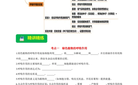 名师导航专题08绿色植物的呼吸作用--2026年中考生物一轮复习学案（解析版）_6生物中考复习_2026年中考复习（更新中）_2026年中考生物一轮复习学案（原版卷+解析版）