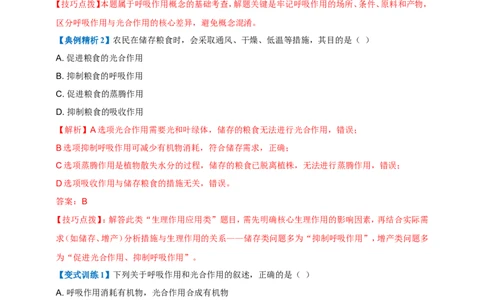 名师导航专题08绿色植物的呼吸作用--2026年中考生物一轮复习学案（解析版）_6生物中考复习_2026年中考复习（更新中）_2026年中考生物一轮复习学案（原版卷+解析版）