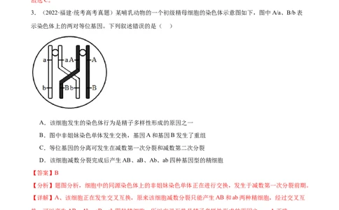 考点通关卷23生物的变异（解析版）_新高考复习资料_2024年新高考复习资料_一轮复习资料_完2024年高考生物一轮复习考点通关卷（新高考）_考点通关卷23生物的变异