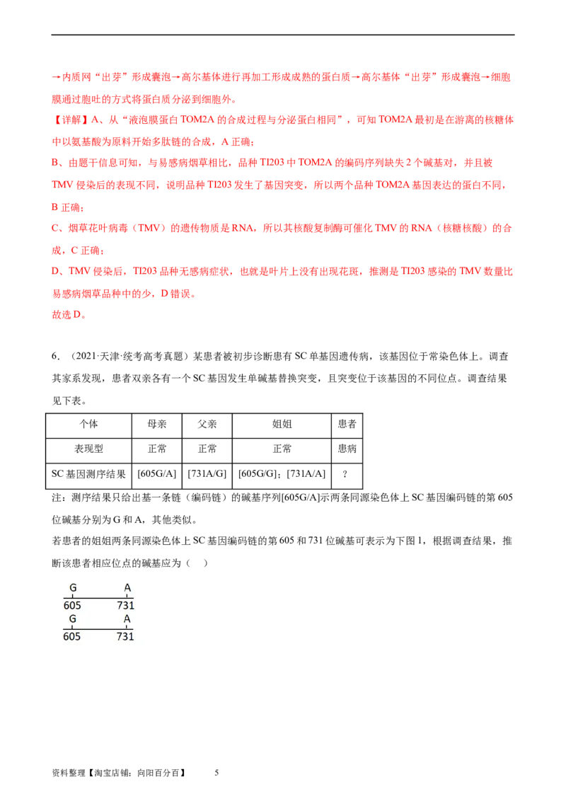 考点通关卷23生物的变异（解析版）_新高考复习资料_2024年新高考复习资料_一轮复习资料_完2024年高考生物一轮复习考点通关卷（新高考）_考点通关卷23生物的变异