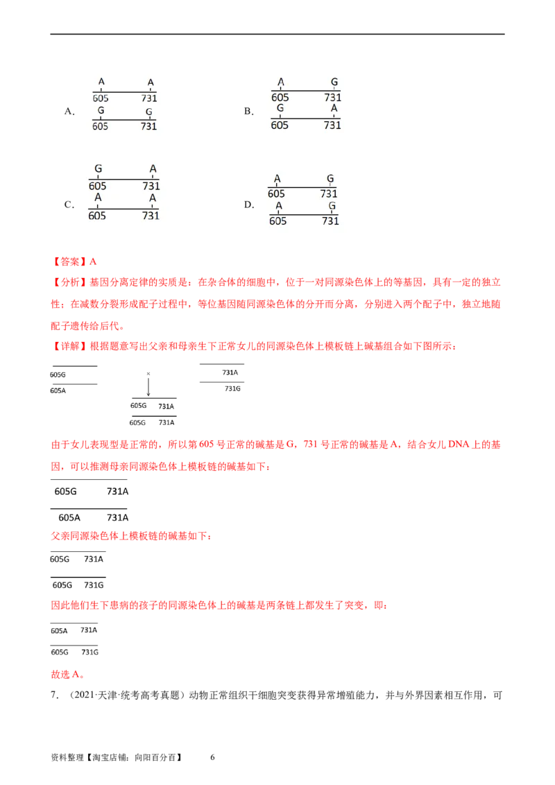 考点通关卷23生物的变异（解析版）_新高考复习资料_2024年新高考复习资料_一轮复习资料_完2024年高考生物一轮复习考点通关卷（新高考）_考点通关卷23生物的变异