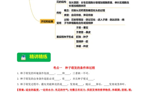 名师导航专题05被子植物的一生--2026年中考生物一轮复习学案（解析版）_6生物中考复习_2026年中考复习（更新中）_2026年中考生物一轮复习学案（原版卷+解析版）